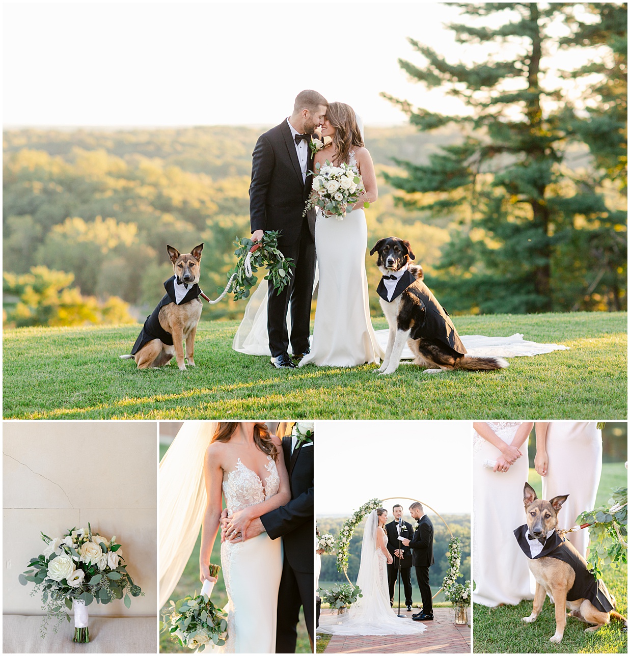 natirar wedding white and green inspo with dogs as groomsmen